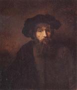 REMBRANDT Harmenszoon van Rijn A Bearded Man in a Cap oil painting artist